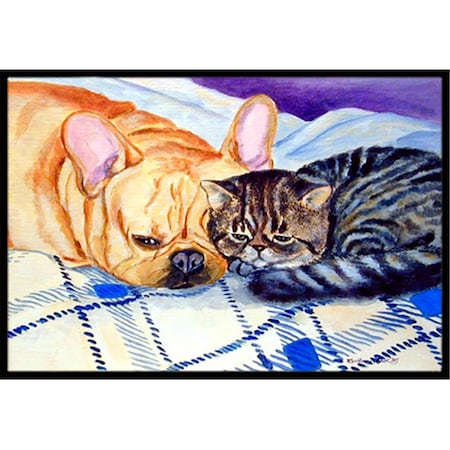 Beyondbasketball Cat Indoor Or Outdoor Mat - 18 x 27 in. BE2858208